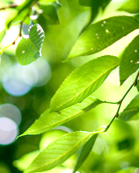 出張ヘアメイク 着付け 札幌円山の美容室 Hair＆Makeup Flap